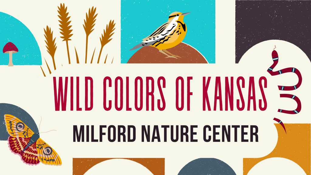 Image of mushroom, wheat, meadowlark, snake, butterfly with the text Wild Colors of Kansas. Milford Nature Center.