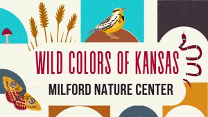 Image of mushroom, wheat, meadowlark, snake, butterfly with the text Wild Colors of Kansas. Milford Nature Center.