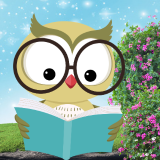 Image of Owl reading